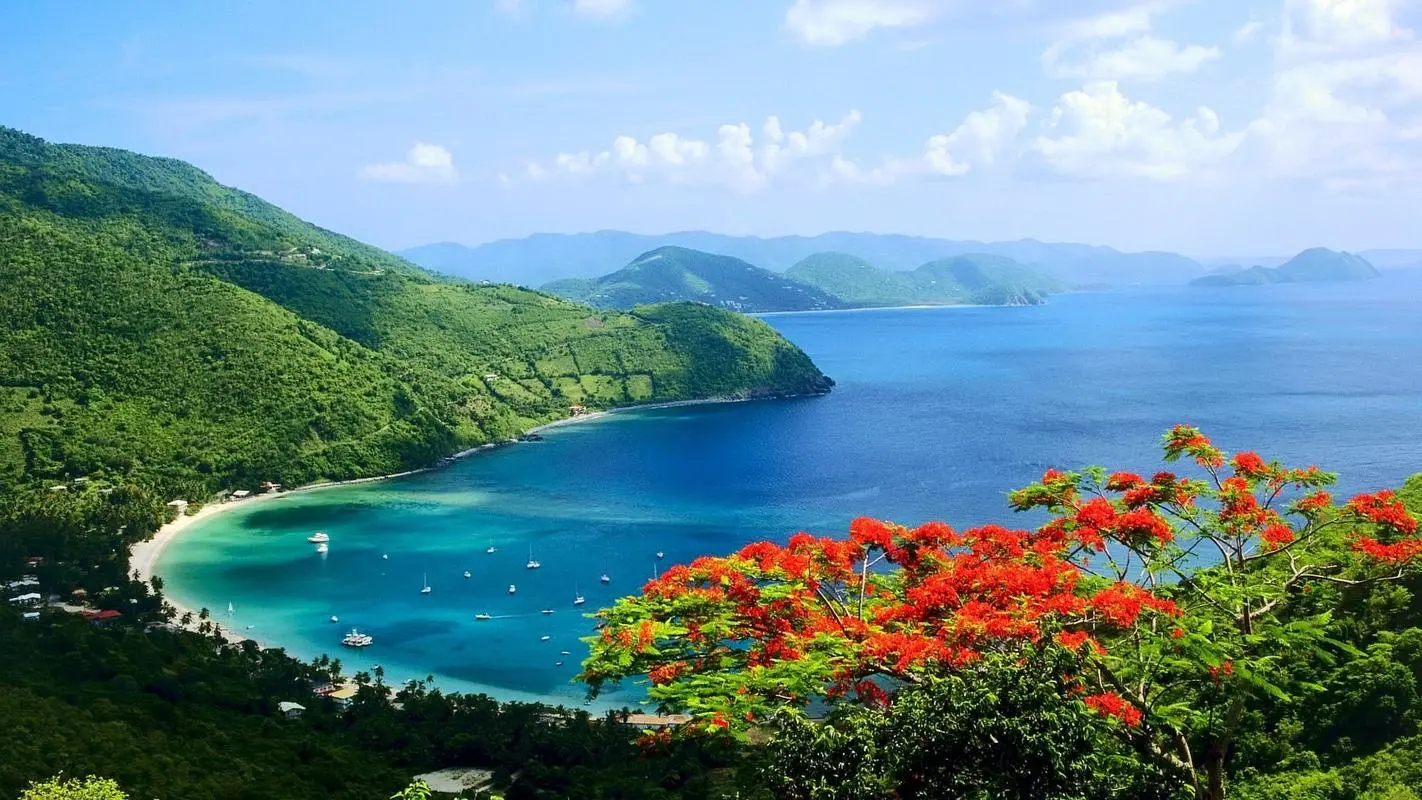 高效科技高效